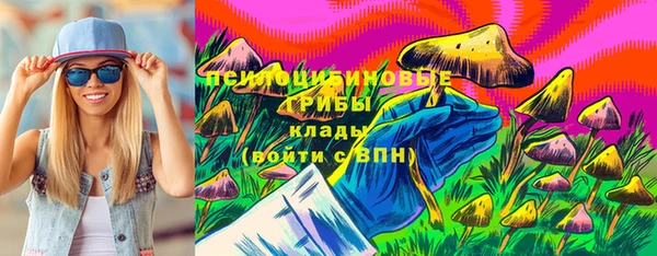 прущий лед Алексин