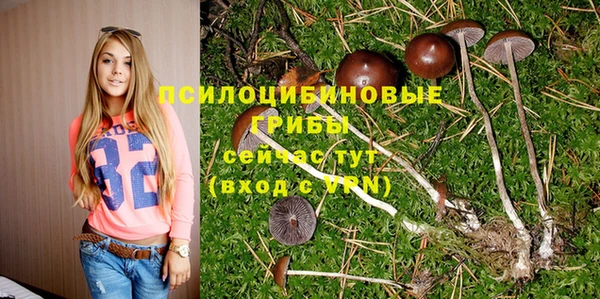 амф Алексеевка