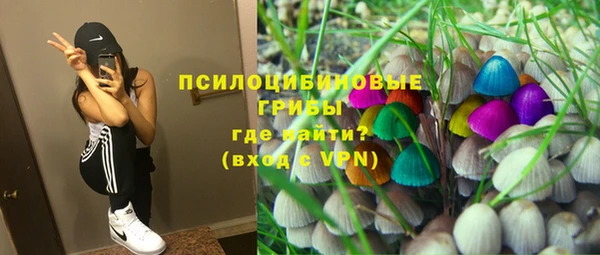 прущий лед Алексин