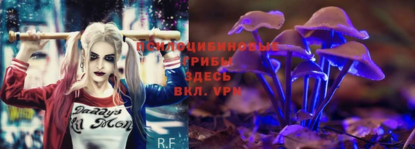 ГАЛЛЮЦИНОГЕННЫЕ ГРИБЫ Алзамай
